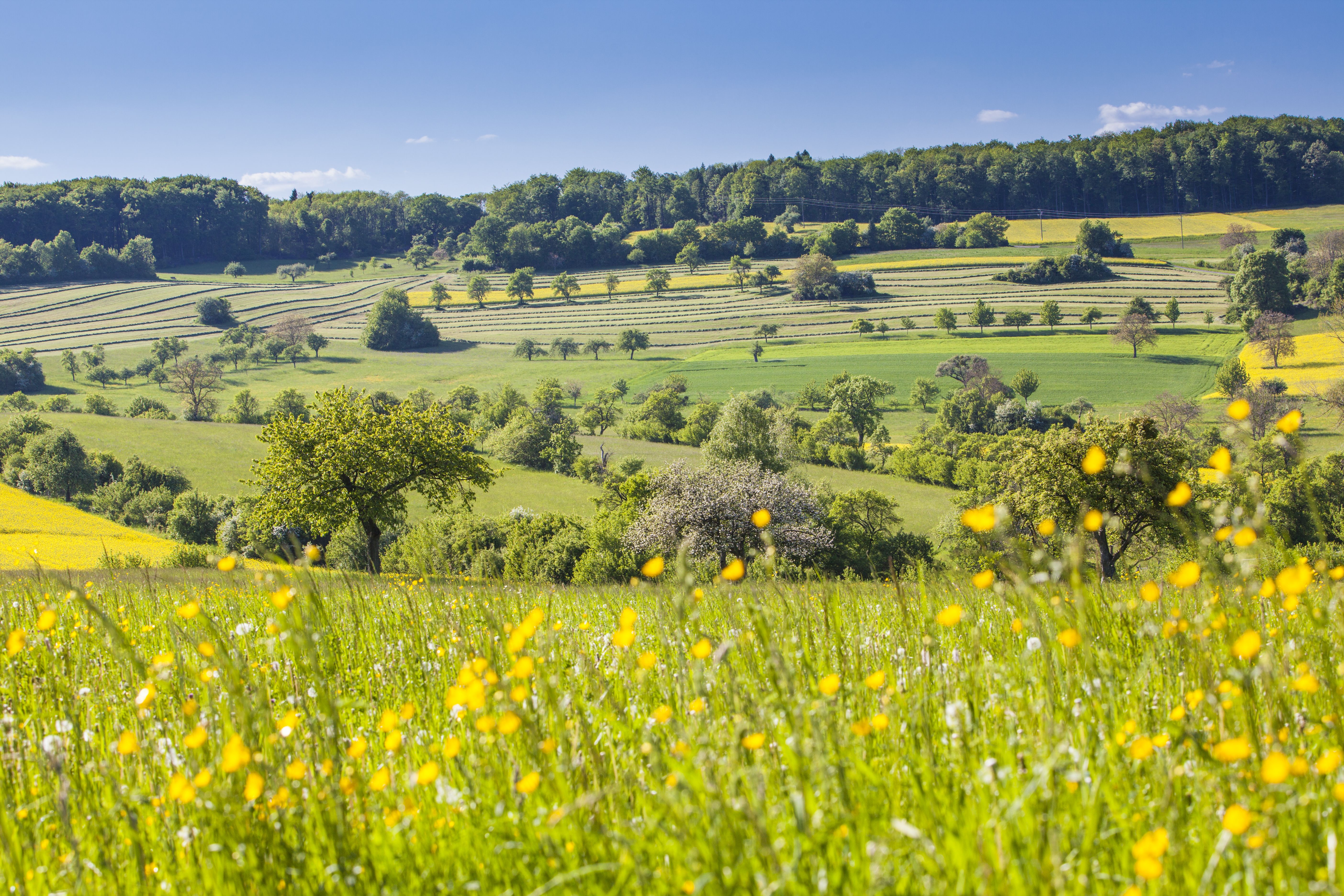 Single wandern im saarland